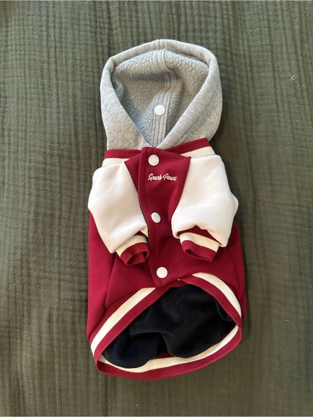 Spark Paws size xs